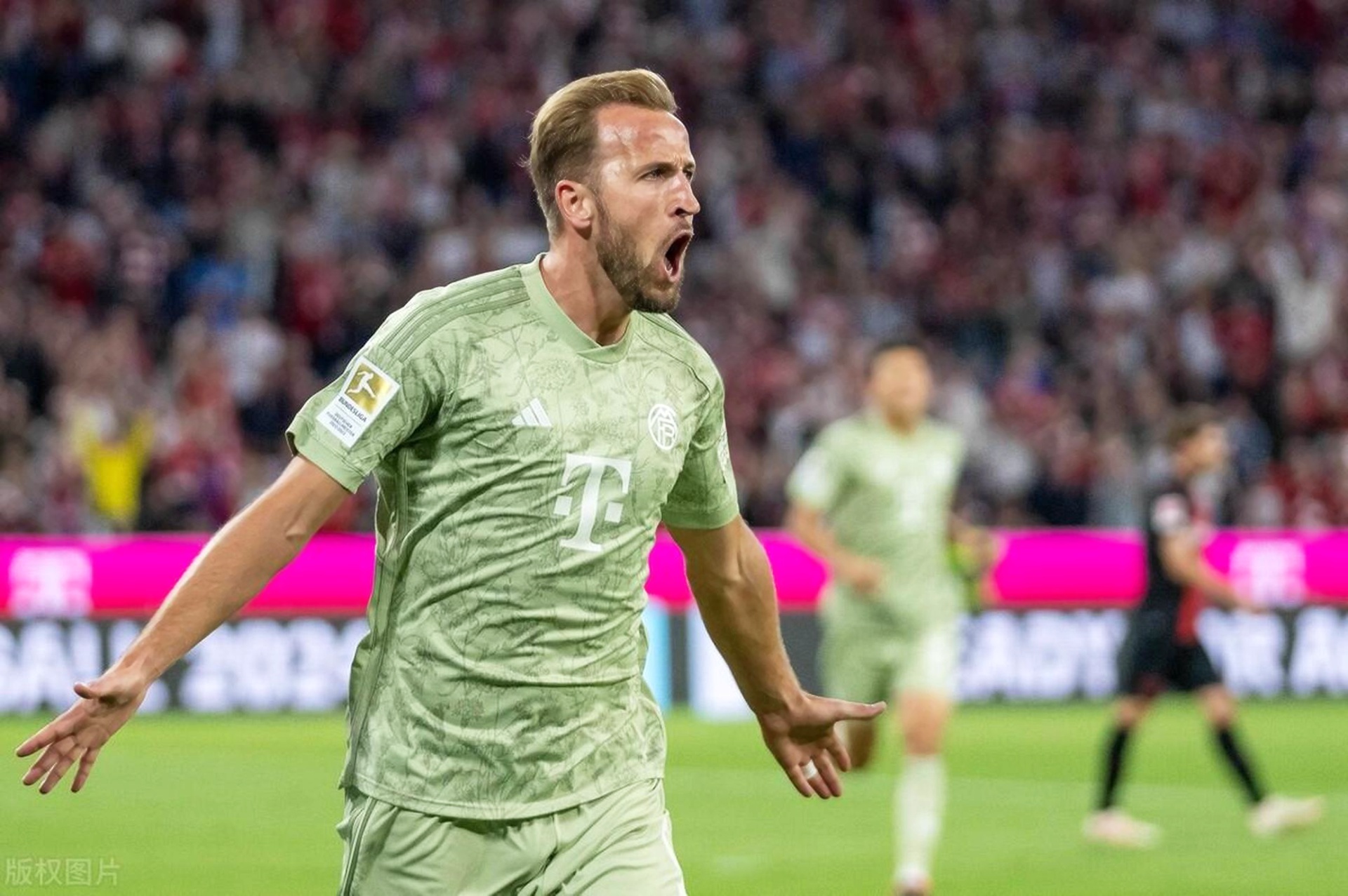 关于凯恩赛事官方发布连败新规，塞尔维亚队争议不断！的信息